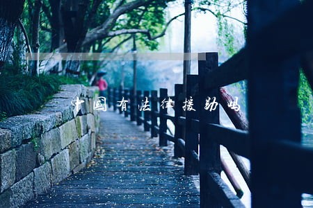 中国有法律援助吗 中国有法律援助吗