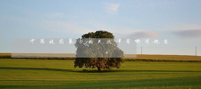 中国校园暴力相关法律有哪些规定 中国校园暴力相关法律有哪些规定
