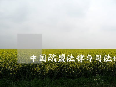 中国欧盟法律与司法协作项目