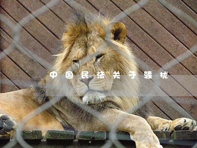 中国民法关于骚扰