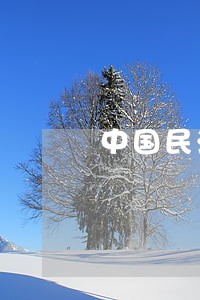 中国民法典国家治理职能之思考 中国民法典国家治理职能之思考
