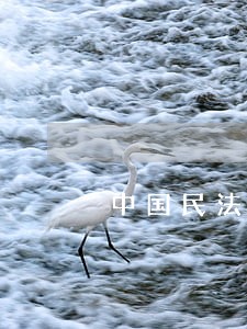 中国民法典的历史价值 中国民法典的历史价值