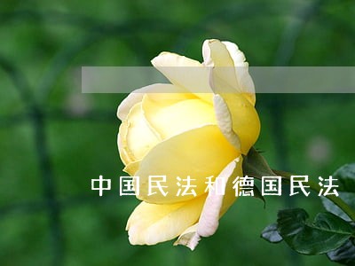 中国民法和德国民法 中国民法和德国民法