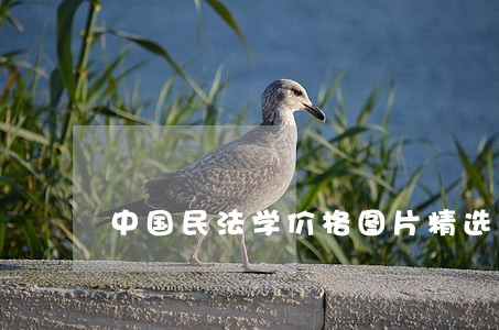 中国民法学价格图片精选 中国民法学价格图片精选