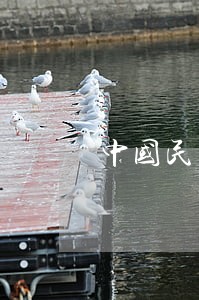 中国民法电影 中国民法电影