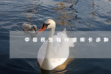 中国民生银行信用卡逾期 中国民生银行信用卡逾期
