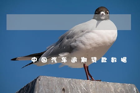 中国汽车逾期贷款数据 中国汽车逾期贷款数据