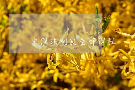 中国法制史全部课程 中国法制史全部课程