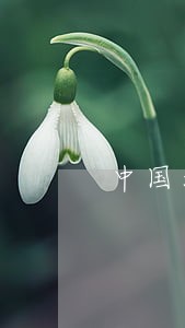 中国法制通史2020年新款 中国法制通史2020年新款