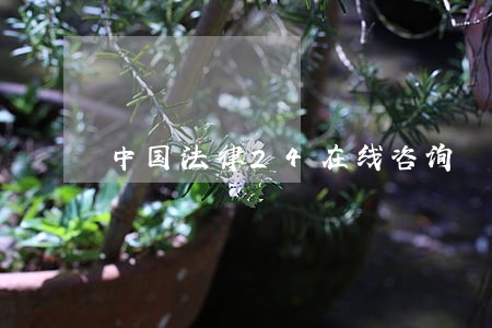 中国法律24在线咨询 中国法律24在线咨询