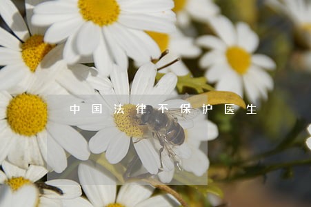 中国法律不保护医生 中国法律不保护医生