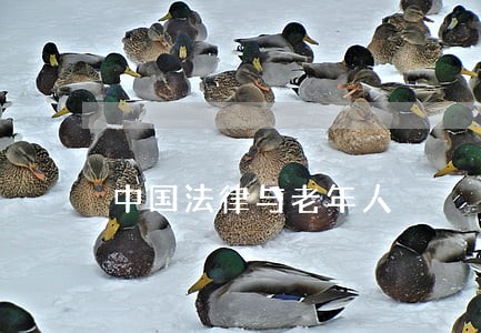 中国法律与老年人 中国法律与老年人