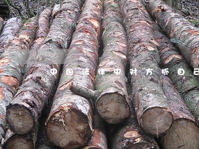 中国法律中对方抓自己头发