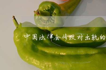 中国法律会修改对出轨的惩罚