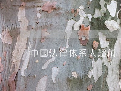 中国法律体系太超前 中国法律体系太超前