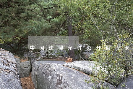 中国法律允许公开银行卡号吗 中国法律允许公开银行卡号吗