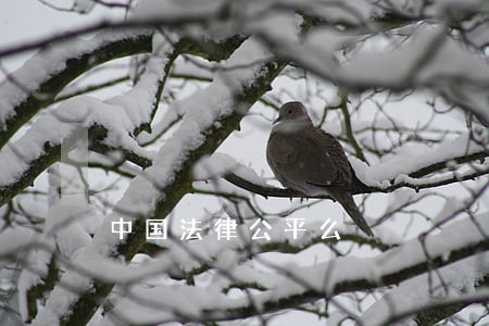 中国法律公平么 中国法律公平么