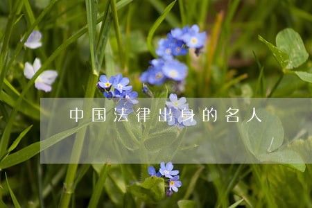中国法律出身的名人 中国法律出身的名人