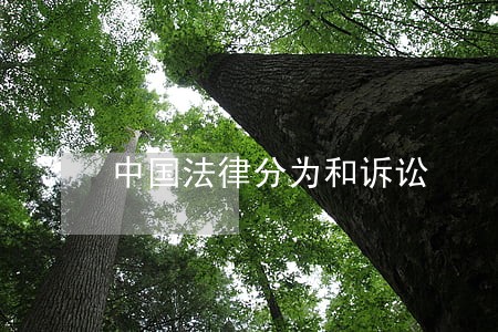 中国法律分为和诉讼 中国法律分为和诉讼