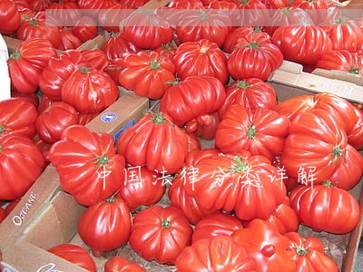 中国法律分类详解 中国法律分类详解