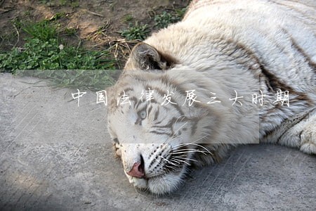 中国法律发展三大时期 中国法律发展三大时期