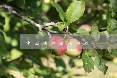 中国法律受伤律师