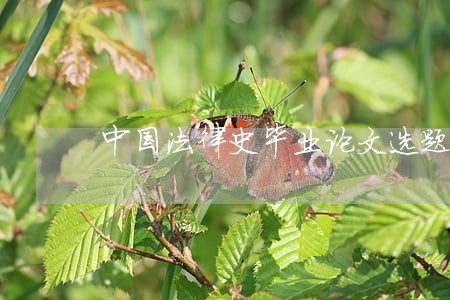 中国法律史毕业论文选题