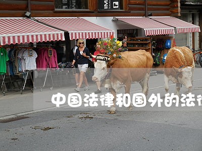 中国法律和国外的法律是不同的 中国法律和国外的法律是不同的