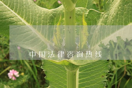 中国法律咨询热线 中国法律咨询热线