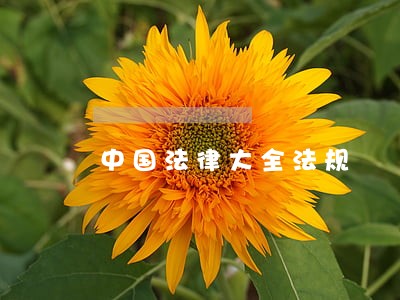 中国法律大全法规