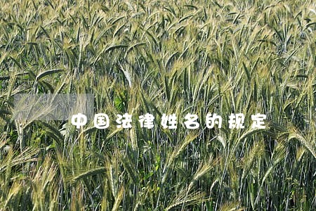 中国法律姓名的规定