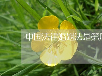 中国法律婚姻法是第几条 中国法律婚姻法是第几条