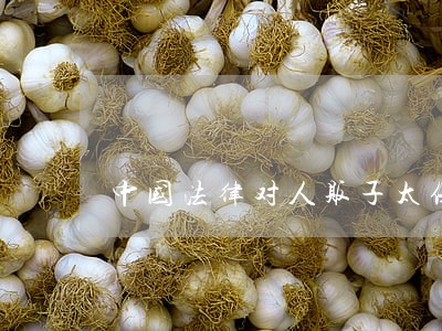 中国法律对人贩子太保护了 中国法律对人贩子太保护了