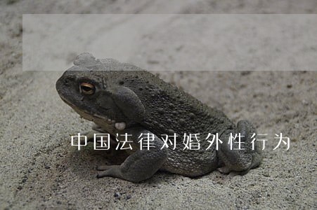 中国法律对婚外性行为