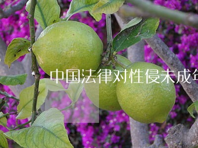 中国法律对性侵未成年 中国法律对性侵未成年