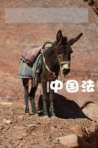 中国法律对陨石是怎么规定的