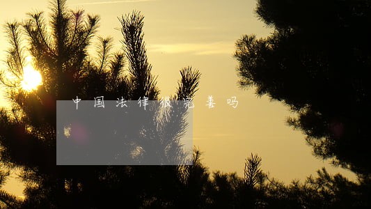 中国法律很完善吗