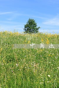 中国法律律师服务网 中国法律律师服务网