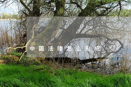 中国法律怎么形成 中国法律怎么形成