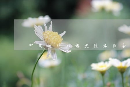 中国法律思想史性考任务3 中国法律思想史性考任务3
