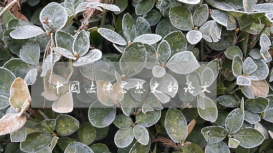 中国法律思想史的论文