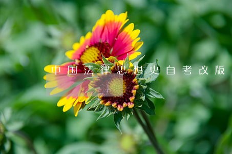 中国法律思想史自考改版 中国法律思想史自考改版