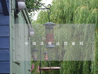 中国法律惩罚重吗 中国法律惩罚重吗