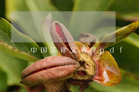 中国法律文书学pdf 中国法律文书学pdf