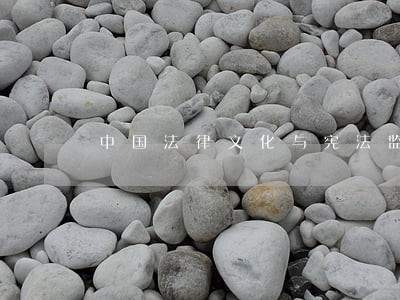 中国法律文化与宪法监督制度