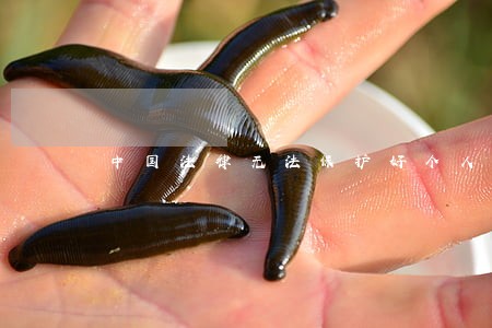 中国法律无法保护好个人 中国法律无法保护好个人