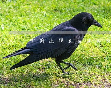中国法律是否真的能人人平等 中国法律是否真的能人人平等
