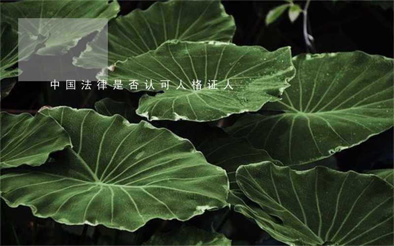 中国法律是否认可人格证人 中国法律是否认可人格证人