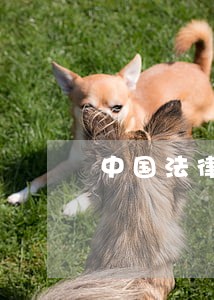 中国法律有什么罪行