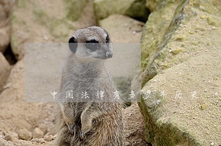 中国法律有多少年历史 中国法律有多少年历史